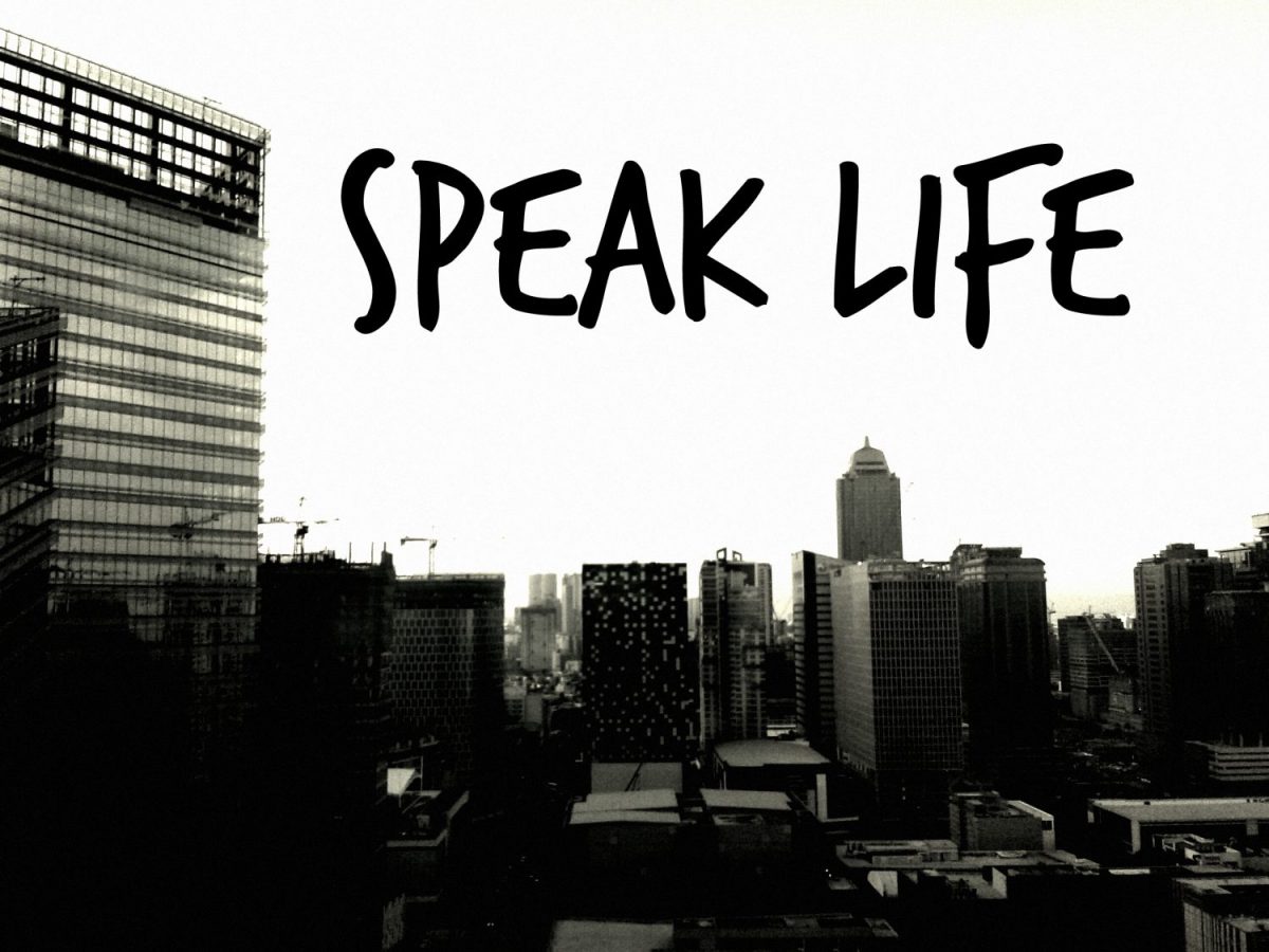 Week 8: 10 Personal Daily&nbsp;Affirmations