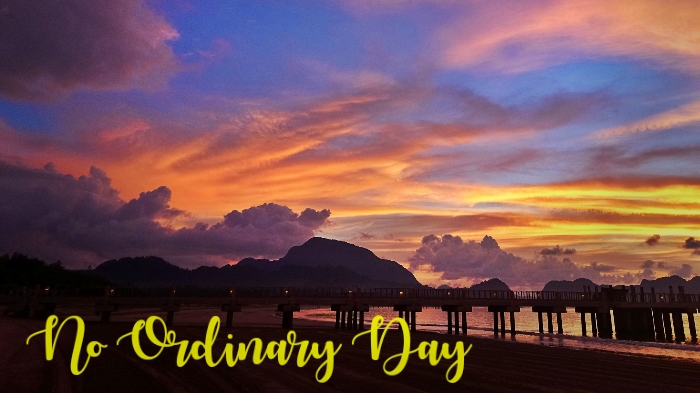 {Book Review}: Eleanor Oliphant is Completely Fine (Gail&nbsp;Honeyman)